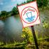 О результатах контроля состояния зон рекреации на водных объектах на 21.07.2025