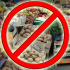 О рисках покупки продуктов питания в несанкционированных точках продаж